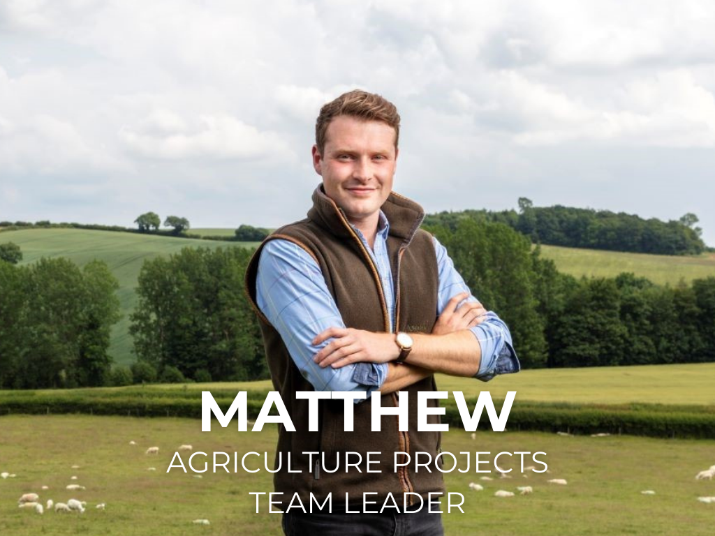 Matthew Rollason Team Leader