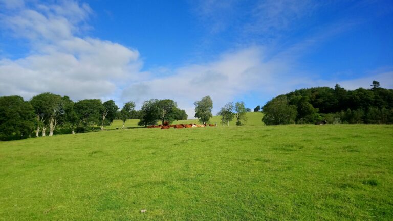 Dunbia advances sustainability initiative with leadership programme among UK farmers 1